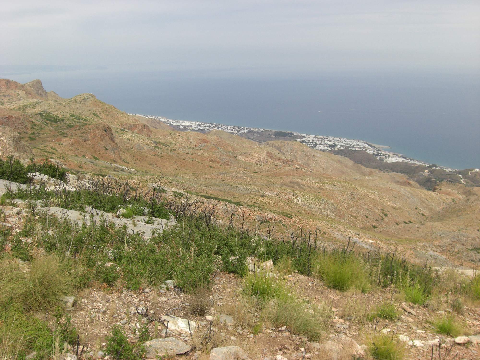 Dry hills and white houses on the Costa Almería